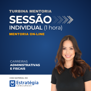 Turbina Mentoria Sessão Individual (1h)